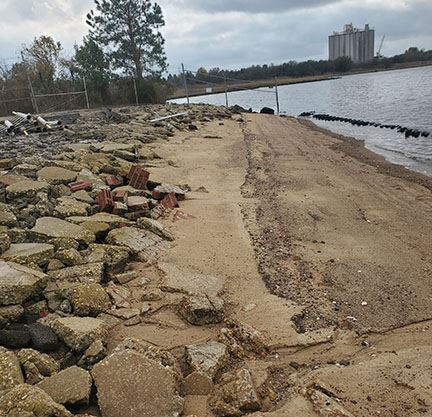 The barren shoreline 