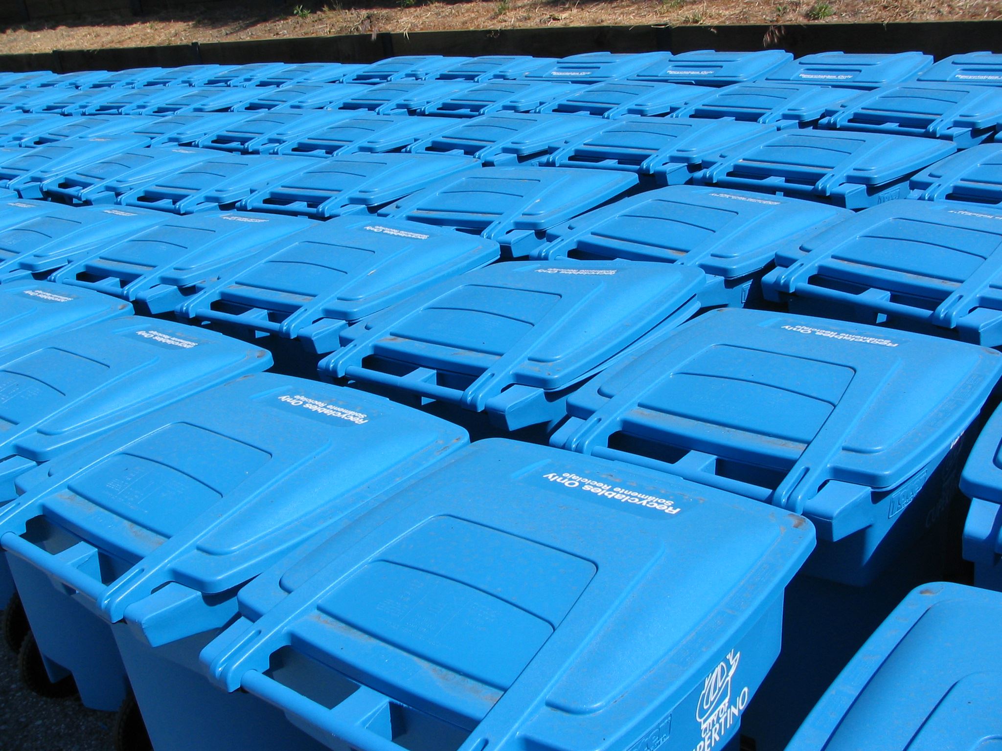 Rows of Blue Recycle Bins